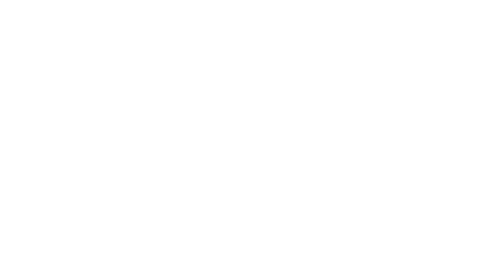 SAFIT - servizi informativi